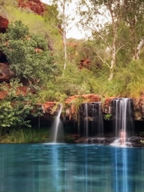 water falls in the middle of trees