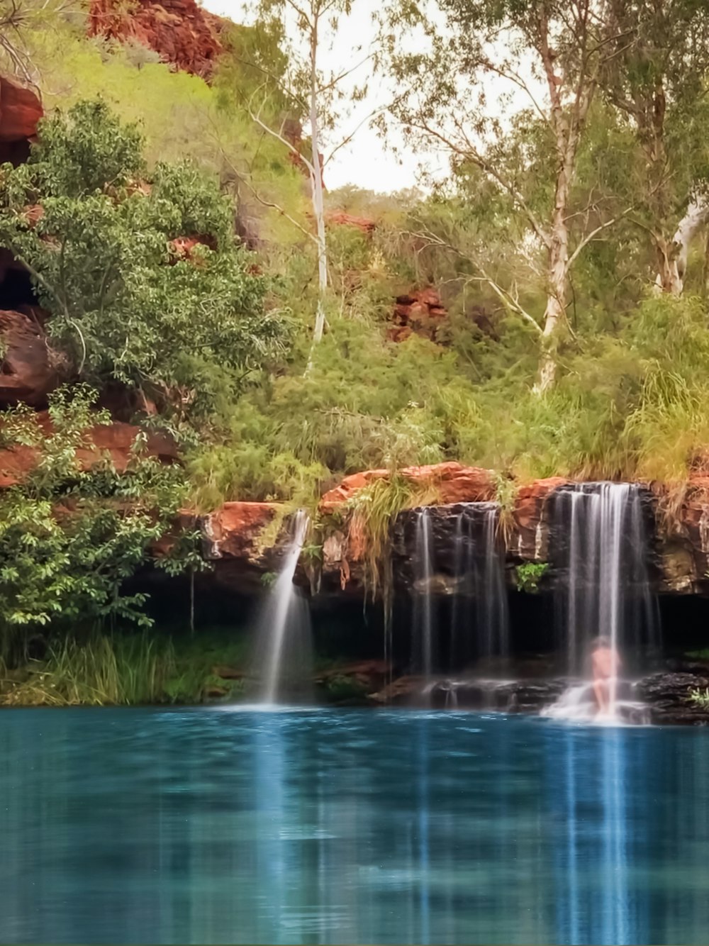 El agua cae en medio de los árboles