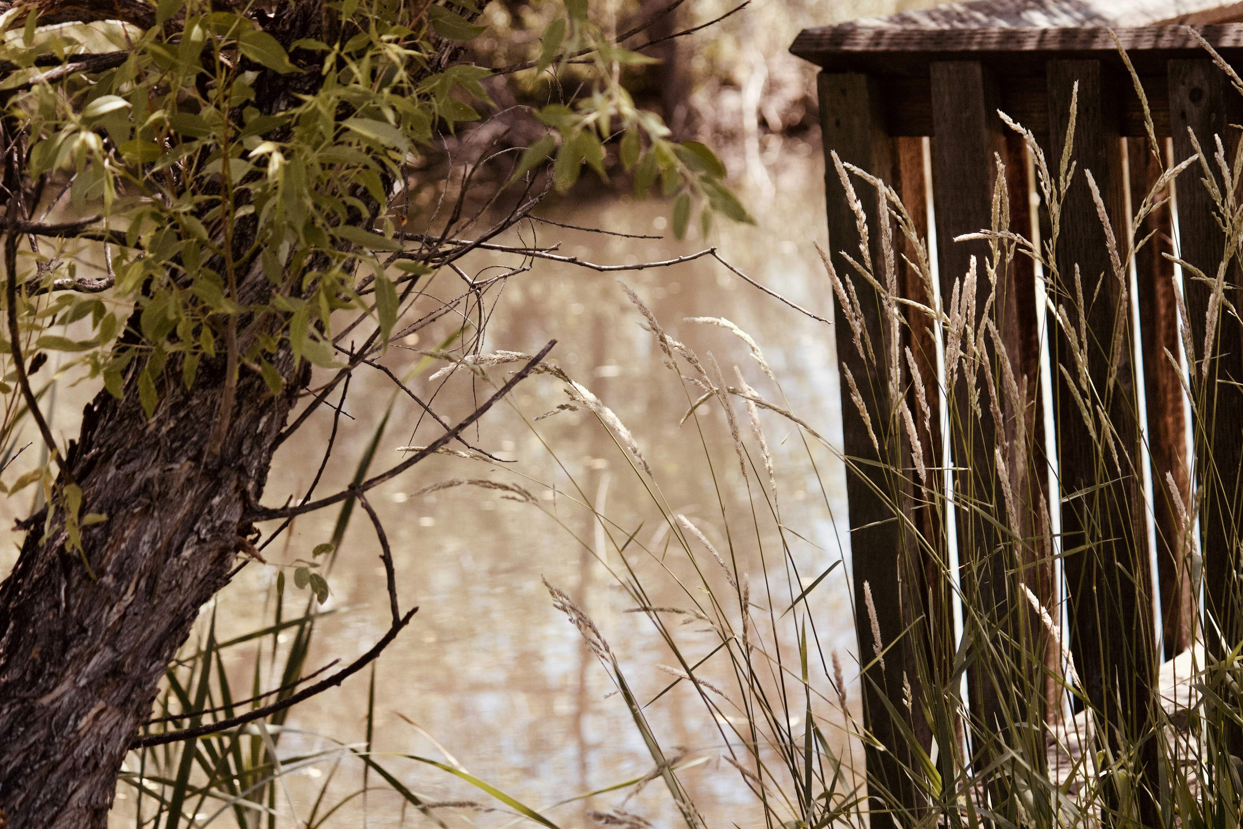 Photo by leopardilsa