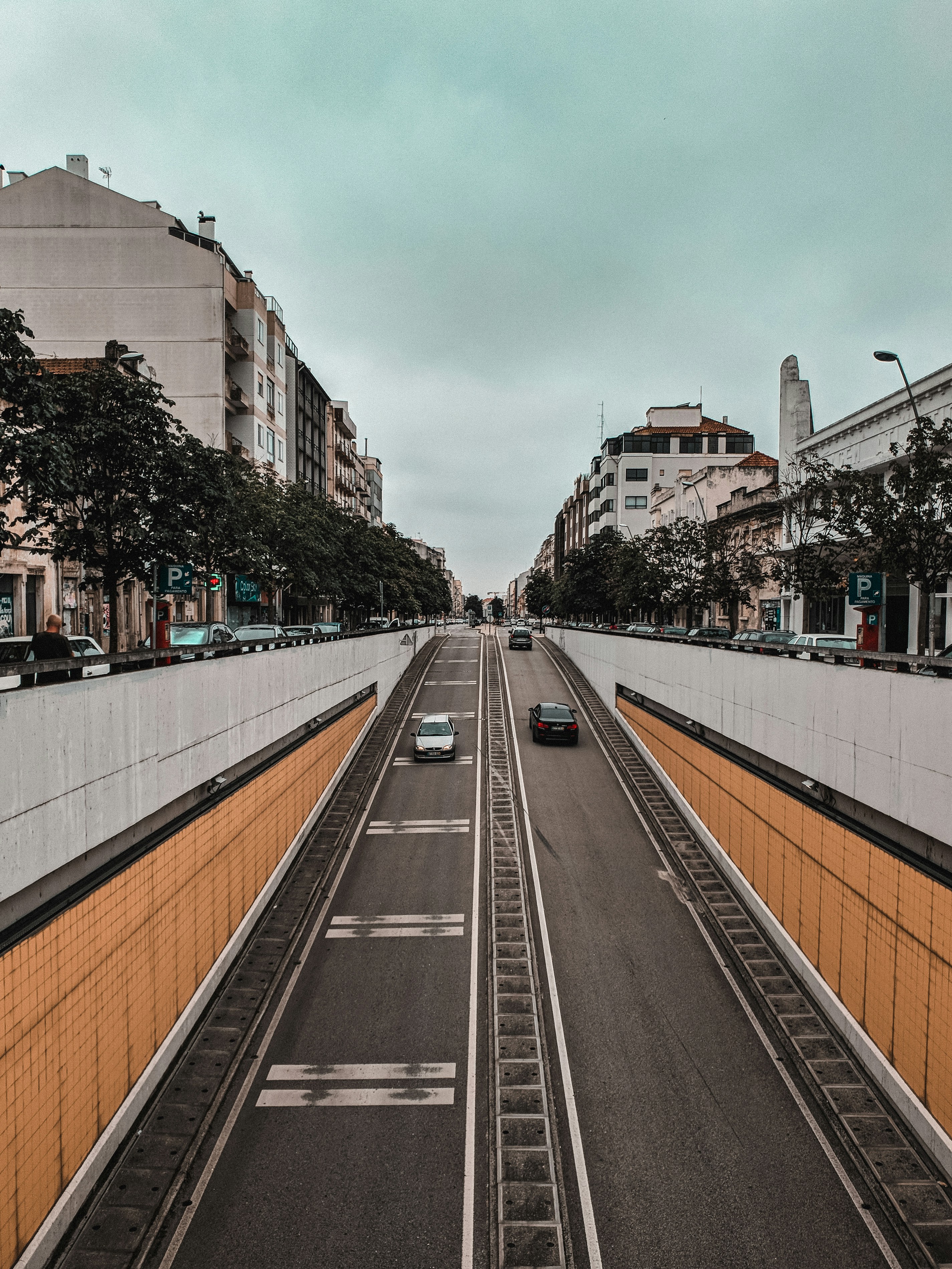 Photo by paulo0000000000000