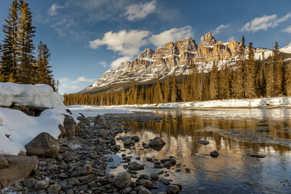 brown and white mountain range