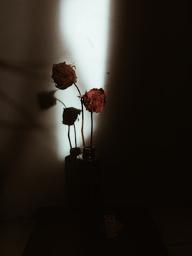A dark, moody visual featuring roses and animal skulls.