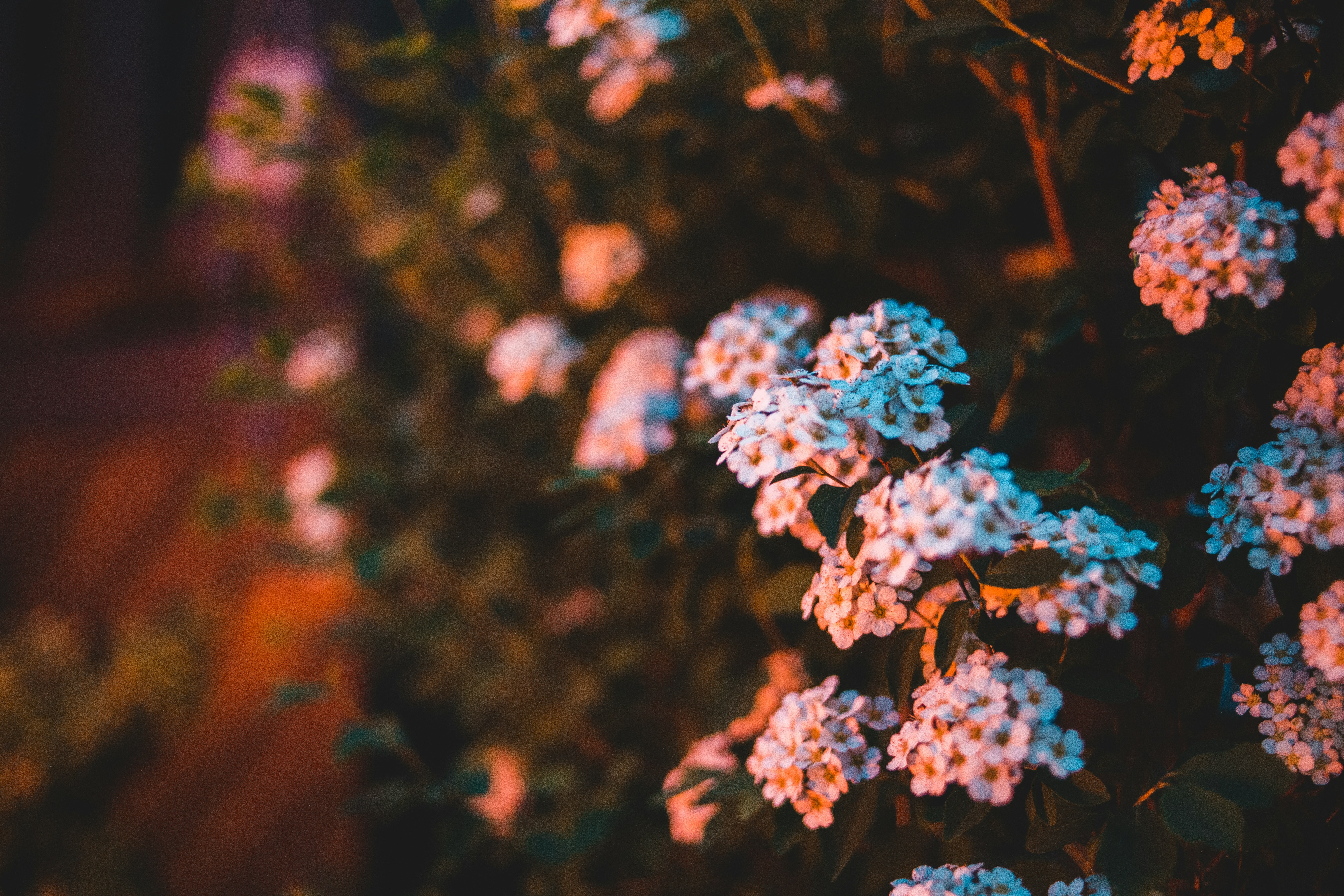 Photo by introspectivedsgn