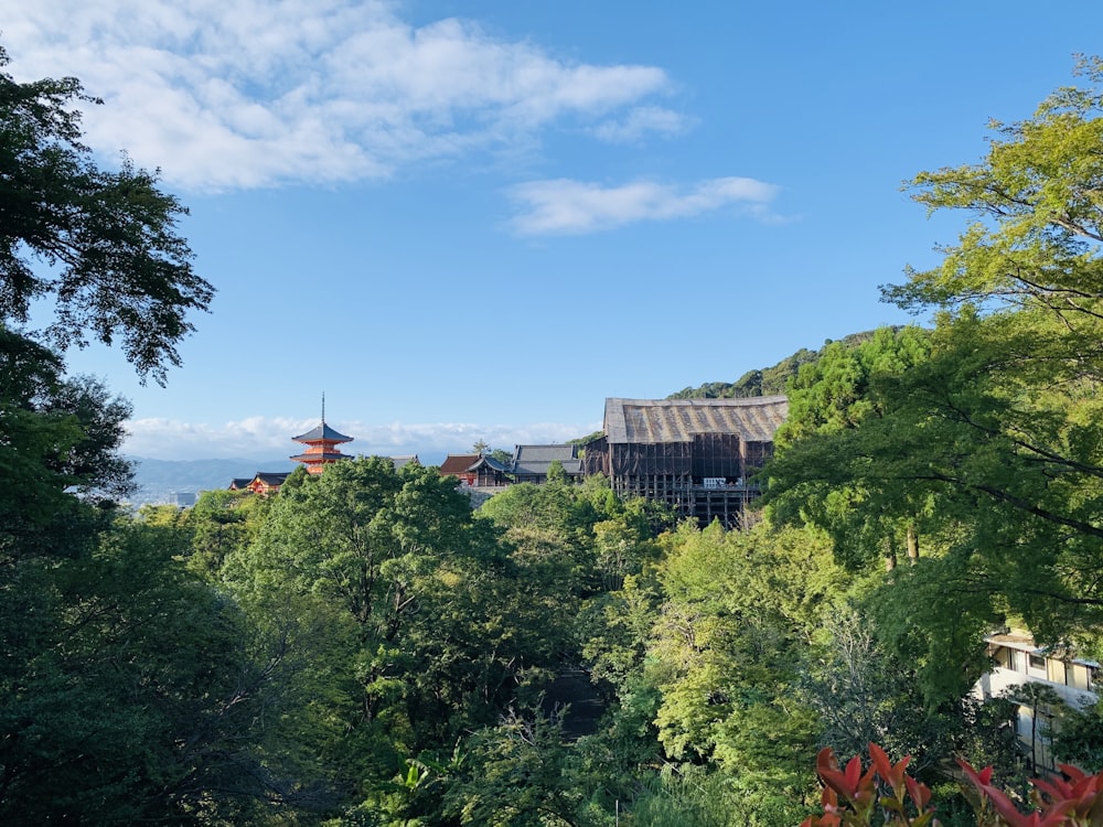 green trees near buildings under blue sky during daytime