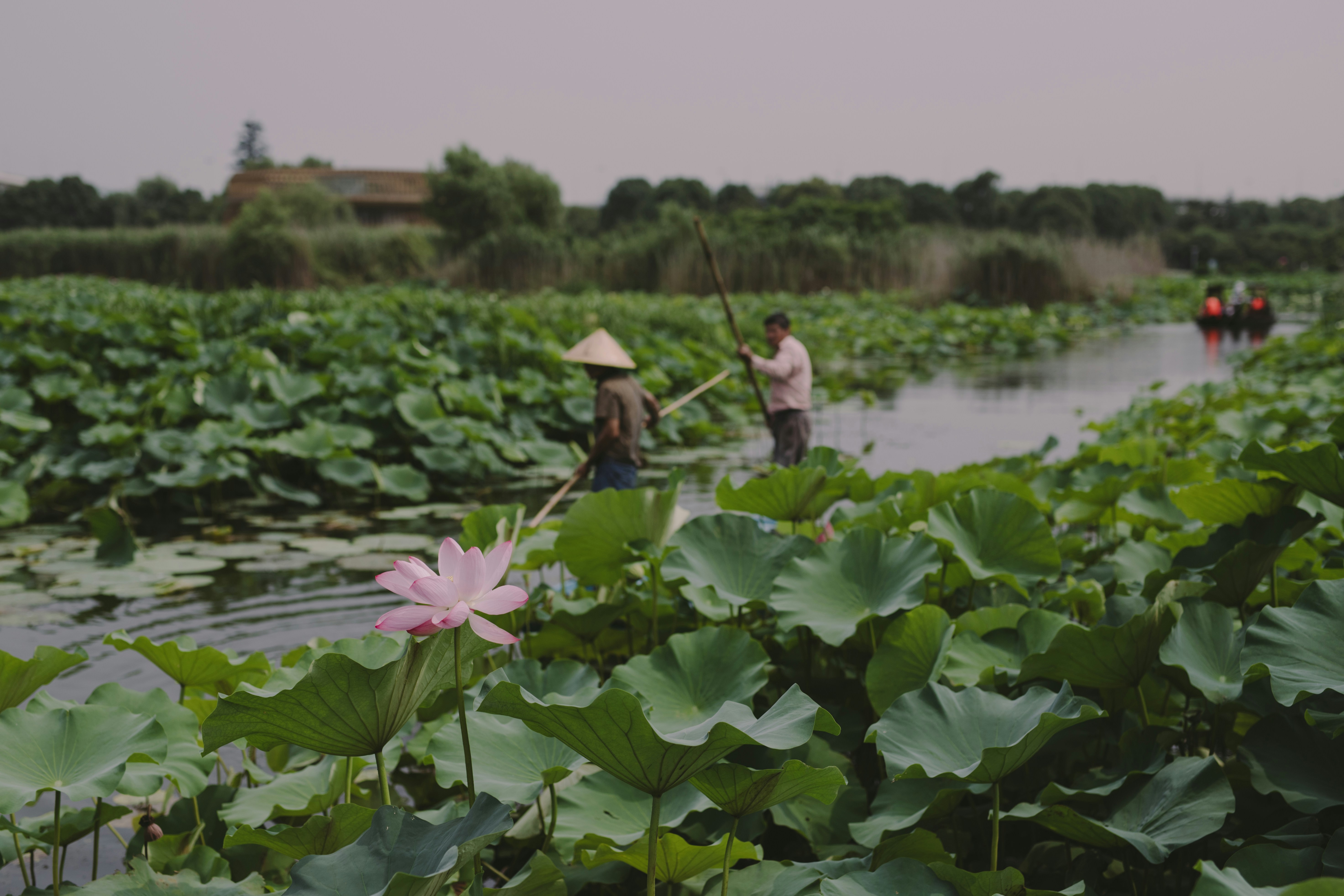 Photo by dongcheng