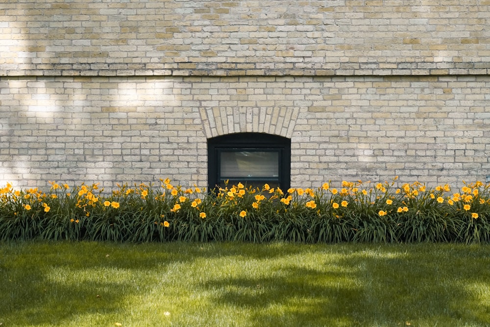 black crt tv on green grass field beside brown brick wall during daytime