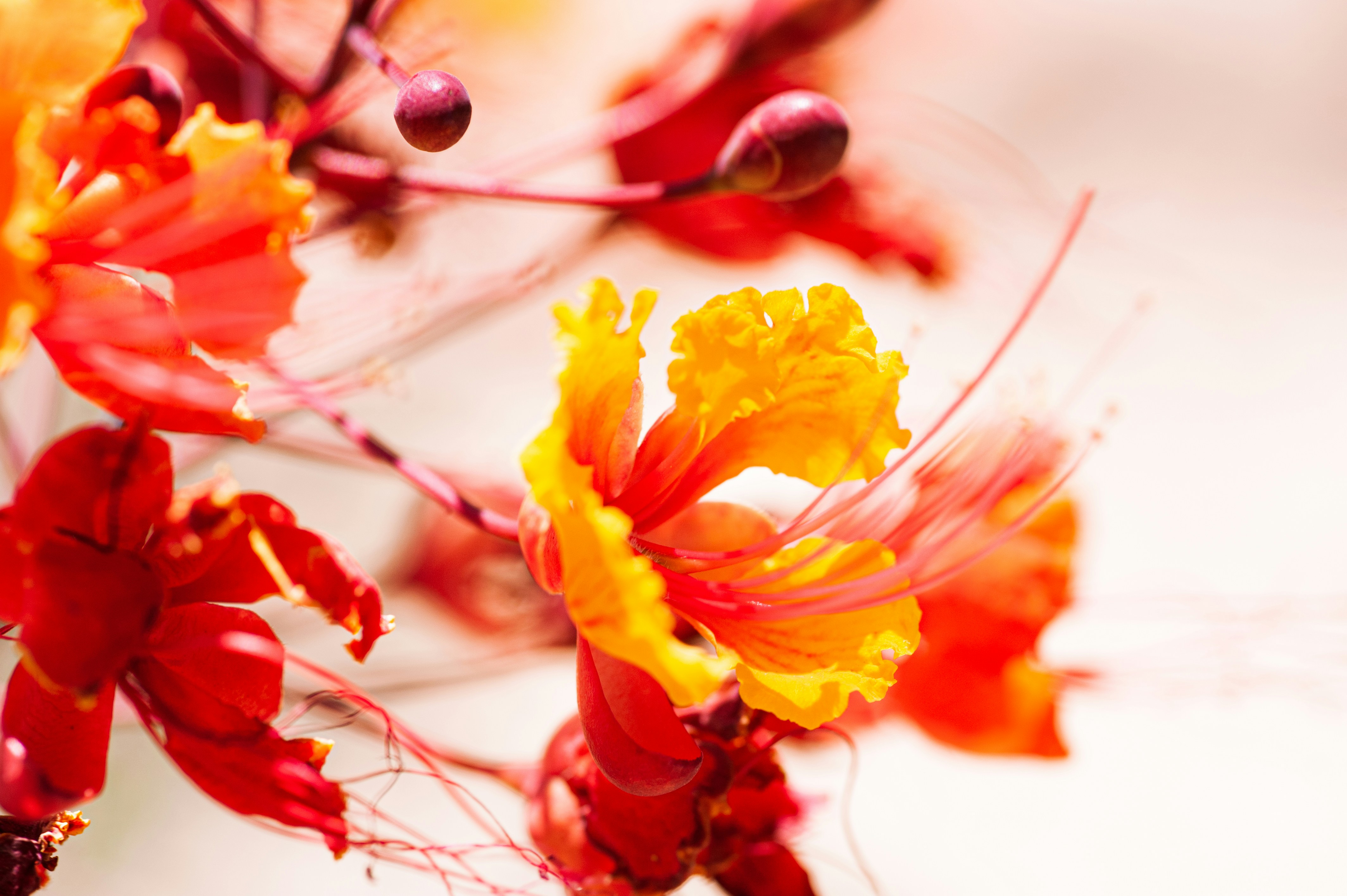 Photo by luisjlara343