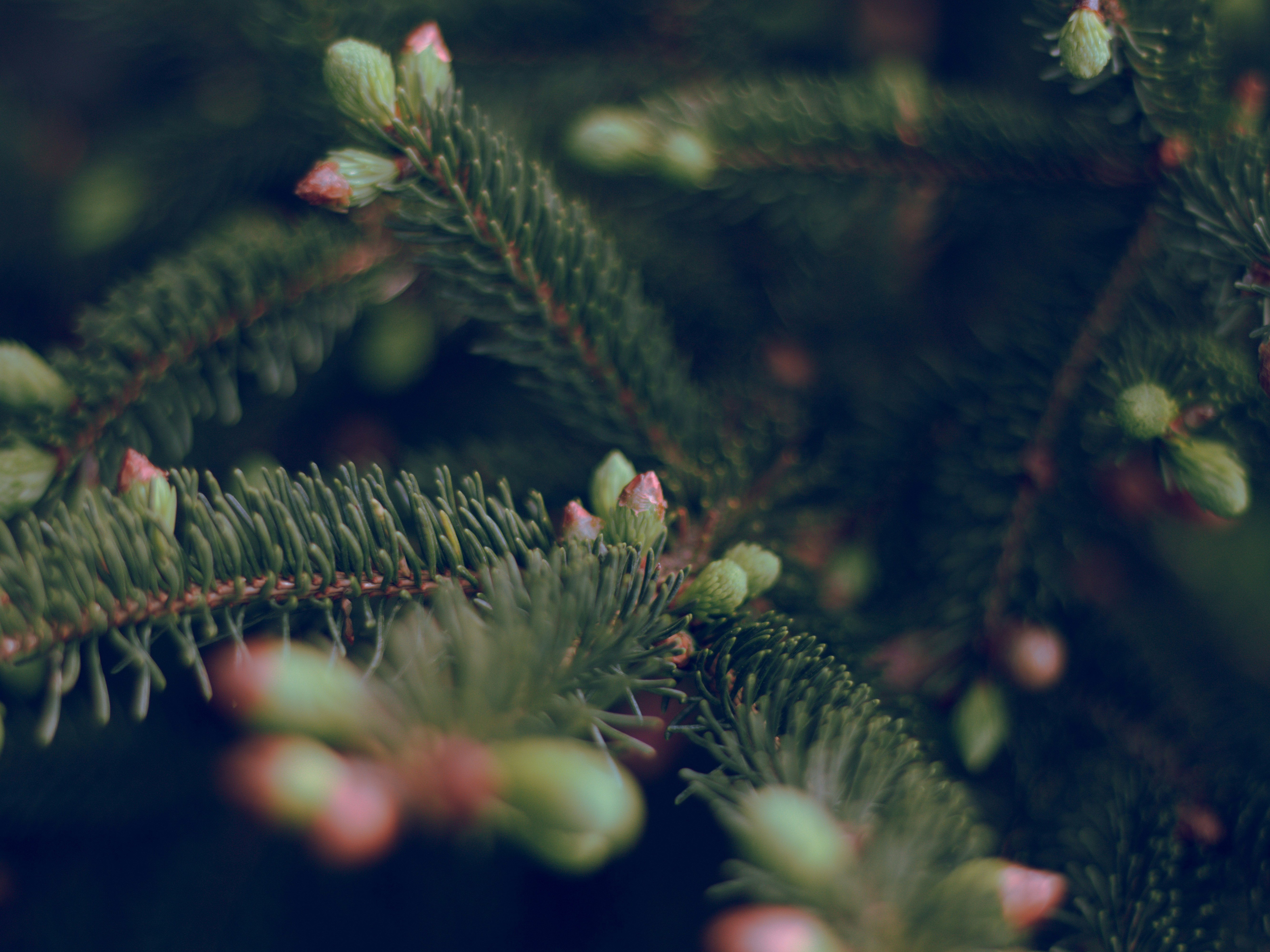 Photo by anthonyvela