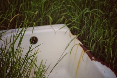An old, rusted bathtub is partially embedded in tall, lush grass. The white of the tub is contrasted with patches of rust, and the greenery surrounds it densely.