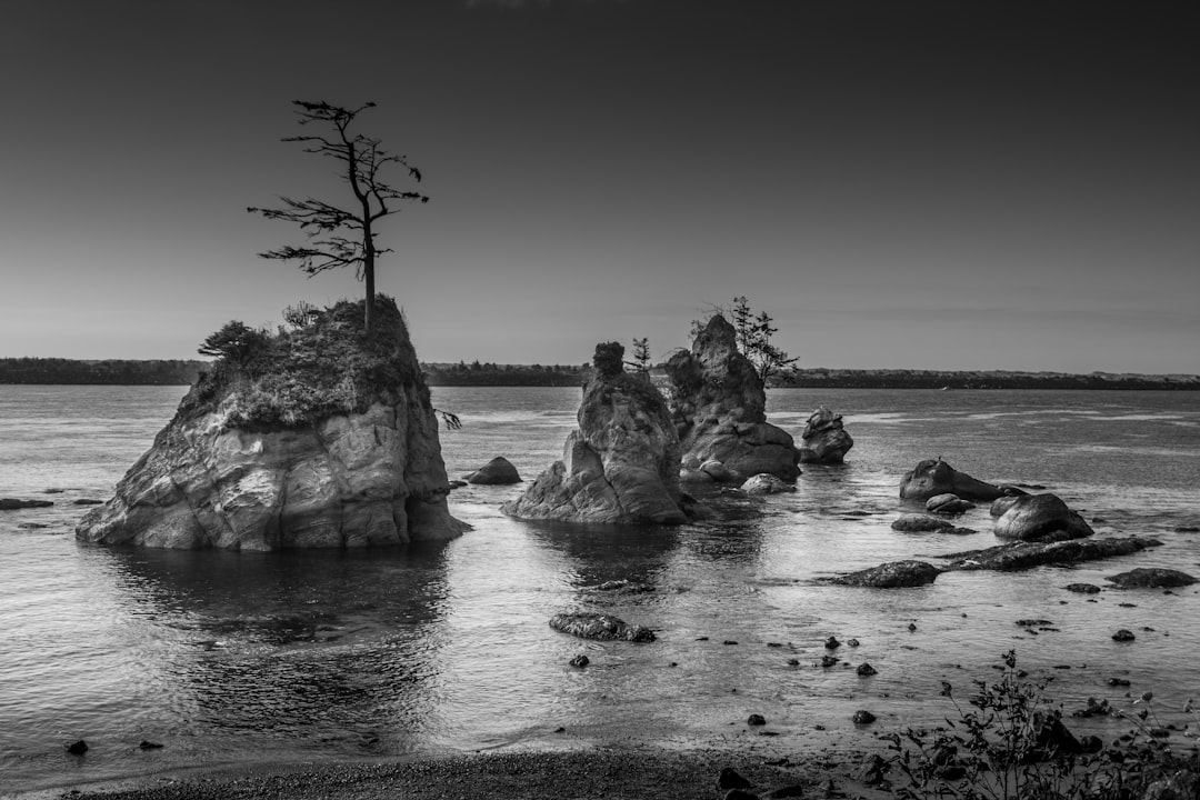 gray scale photo of rocks on body of water