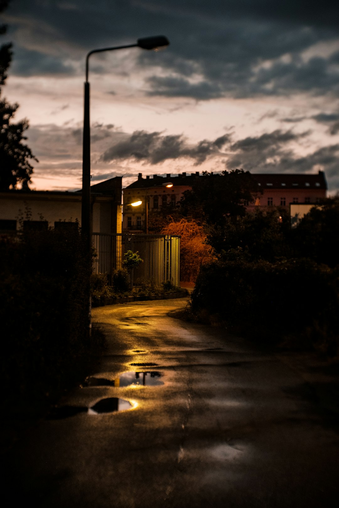 white and brown concrete building near trees during night time