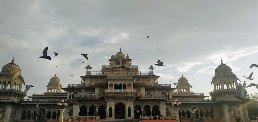 birds flying over the building during daytime