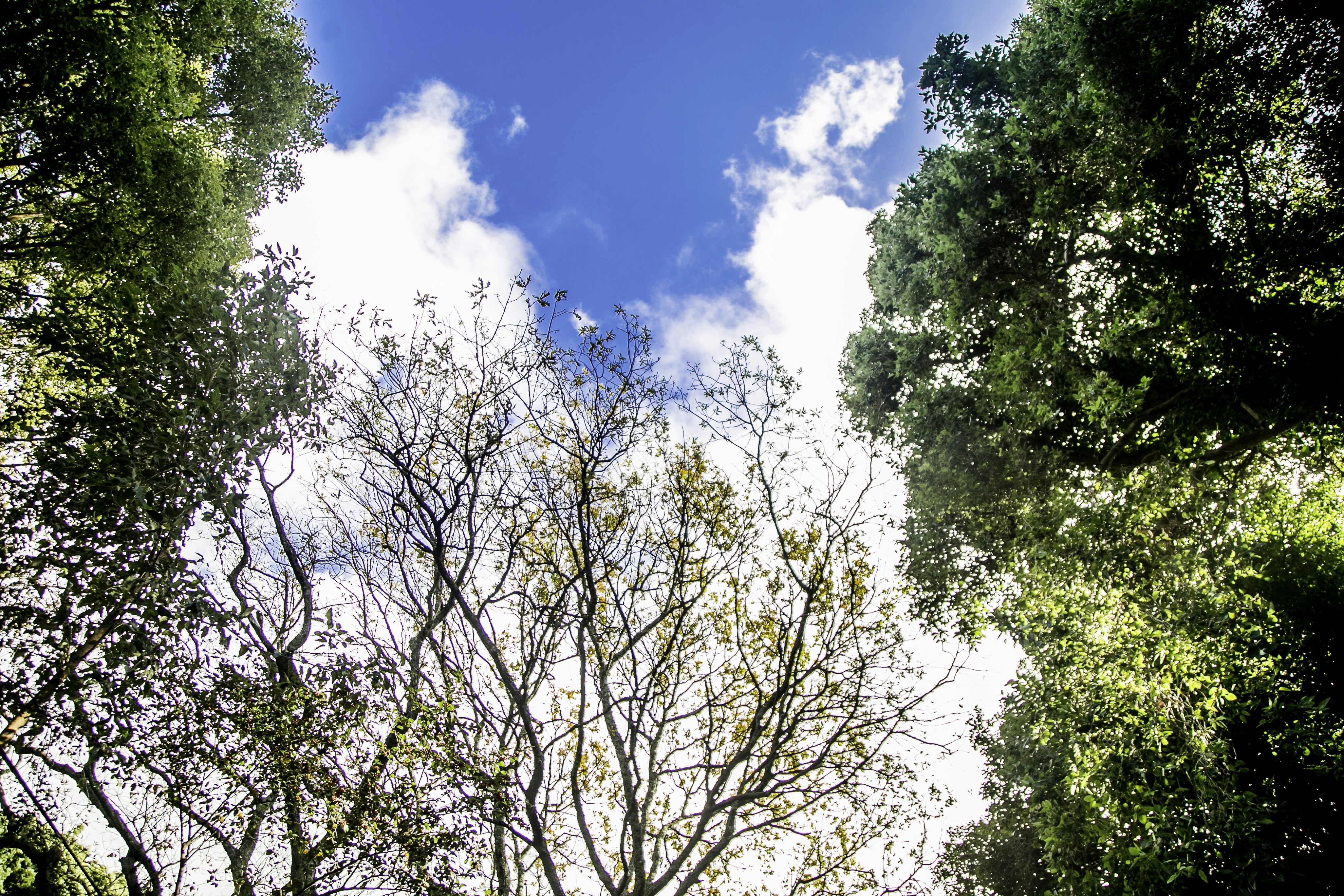 Photo by colorbyibanks