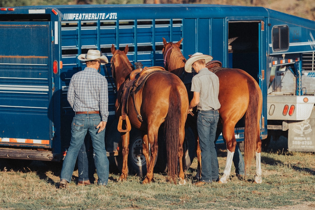 man in blue denim jeans standing beside brown horse during daytime