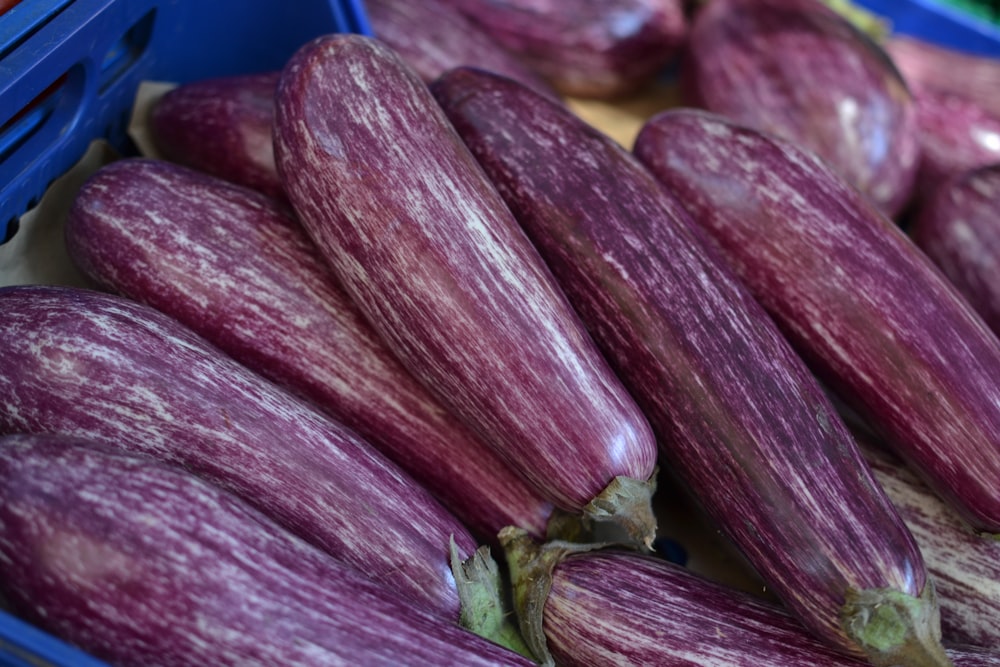 purple and green vegetable on blue plastic container