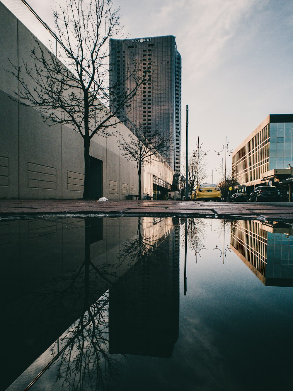 body of water near high rise buildings