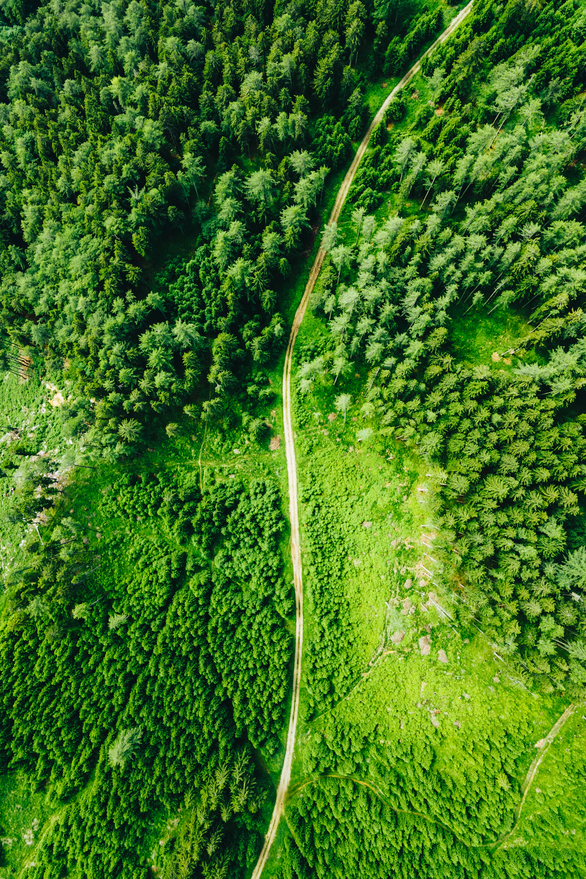 Environment