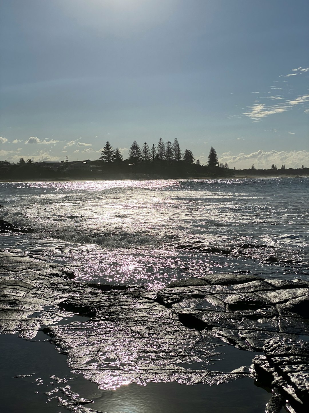 Shore photo spot 19–29 Queen of Colonies Parade Noosa