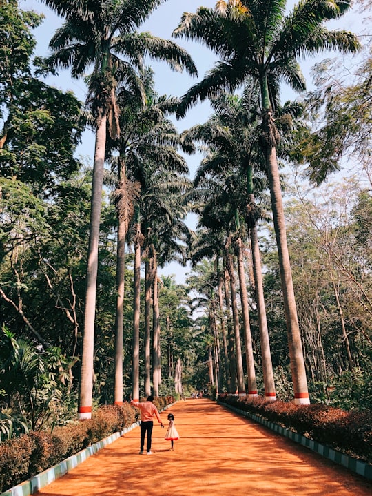 brown wooden pathway between green trees during daytime in Karanji Lake India