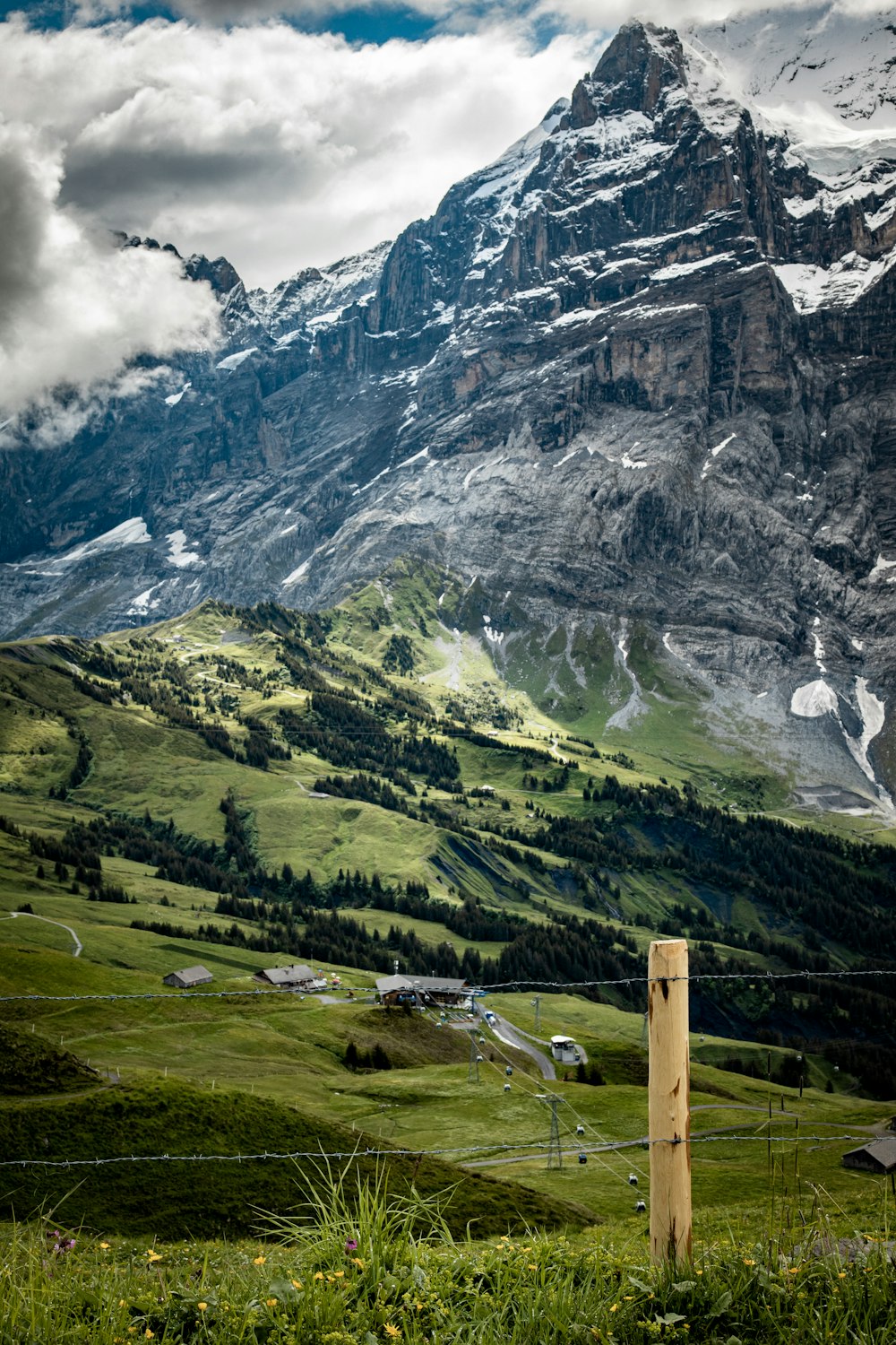 green grass field and mountain