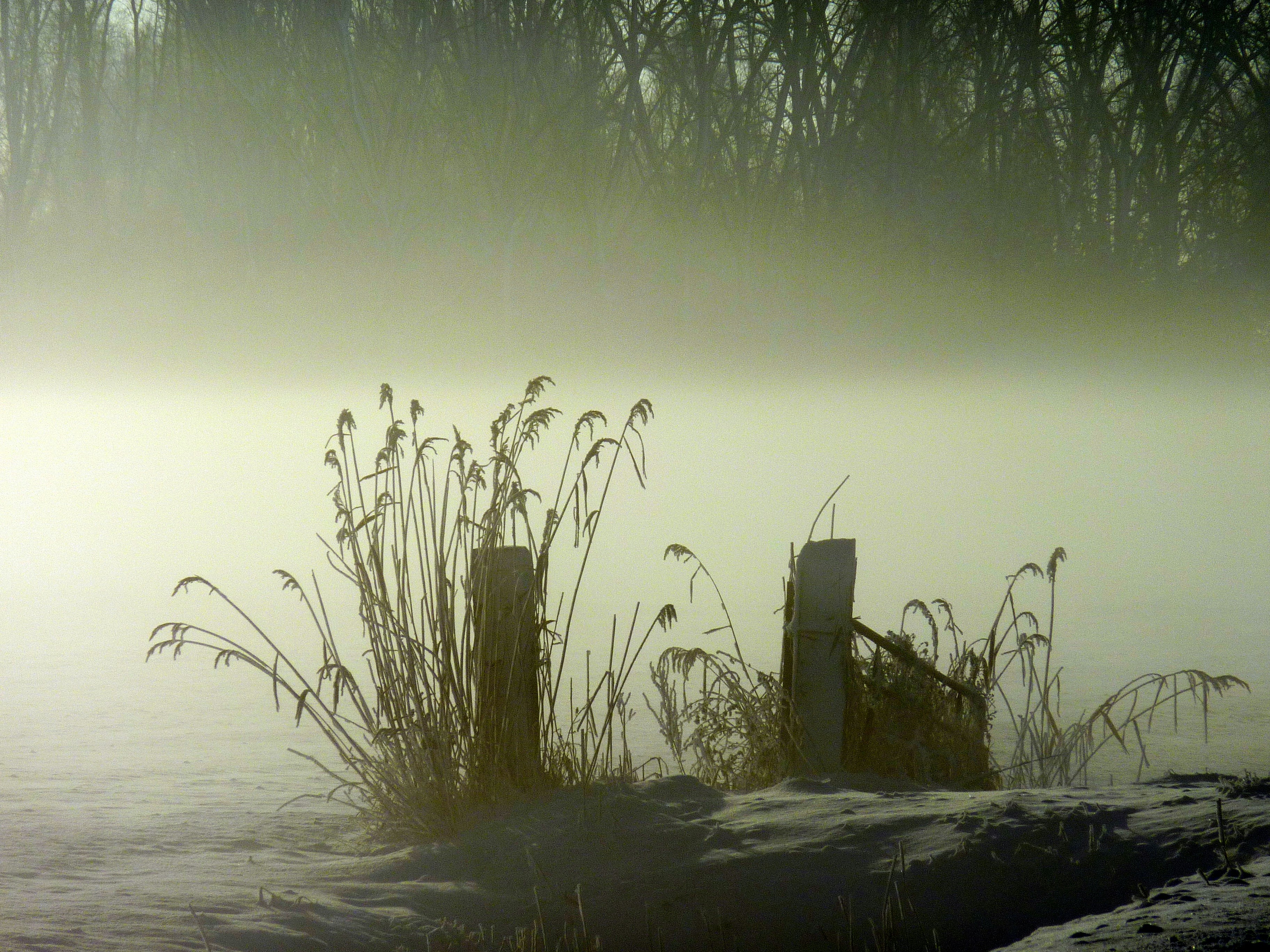 brown wooden house on snow covered ground