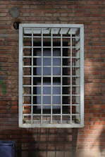 Metal security bars installed on a residential window.