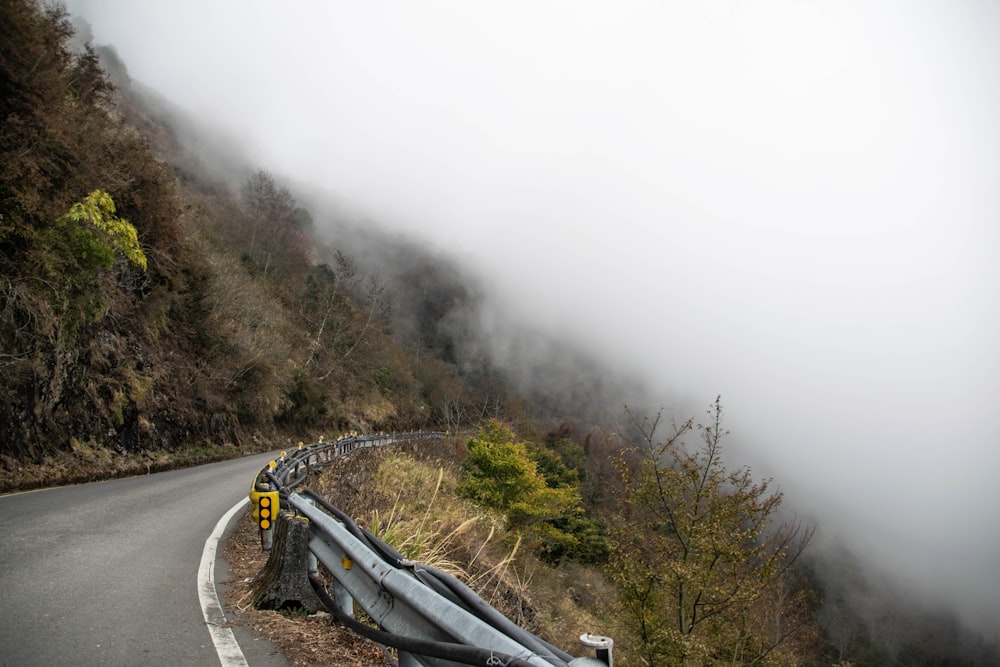 Carretera de asfalto gris entre árboles verdes cubiertos de niebla durante el día