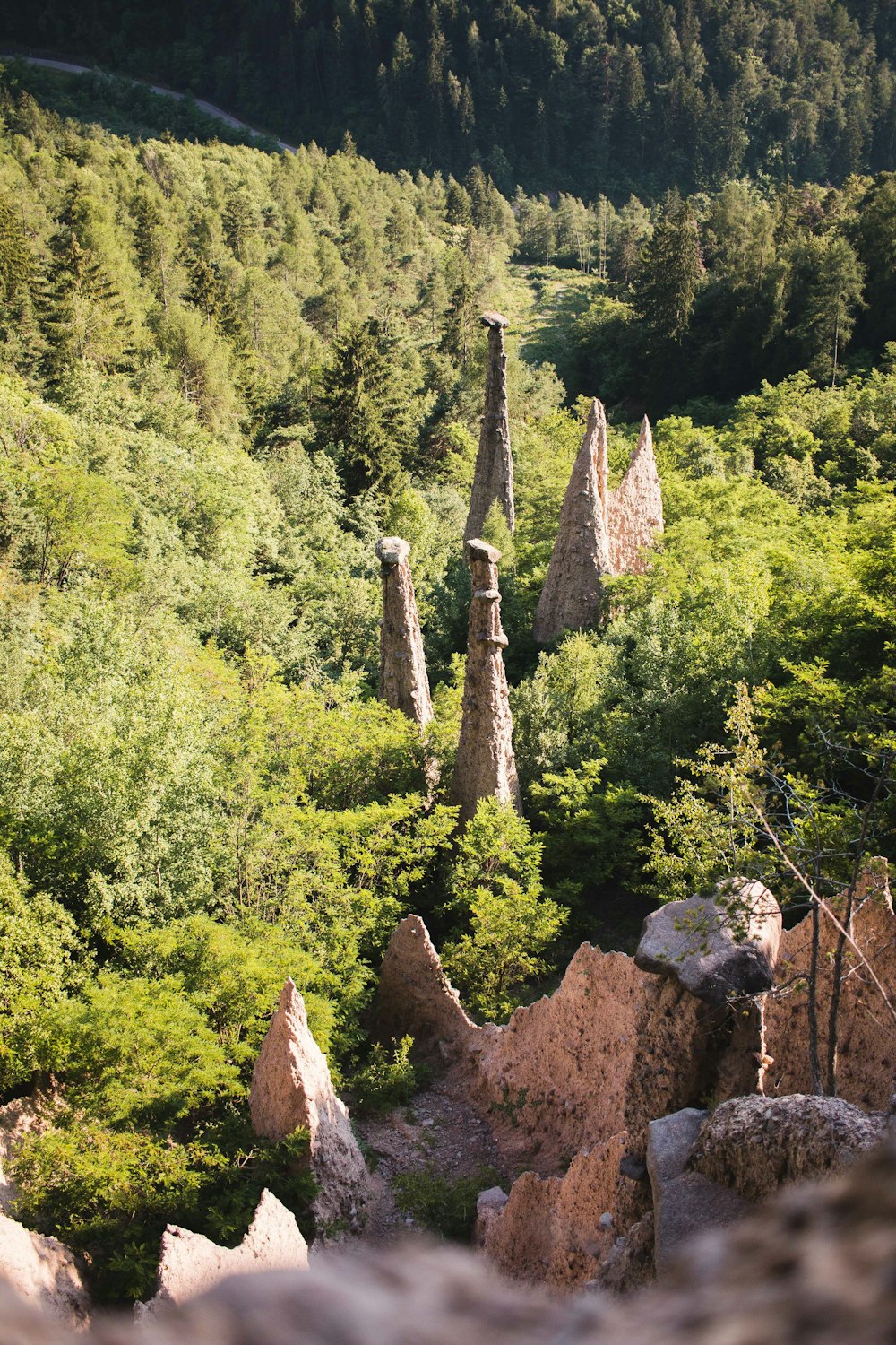 brown and gray rocks on forest during daytime