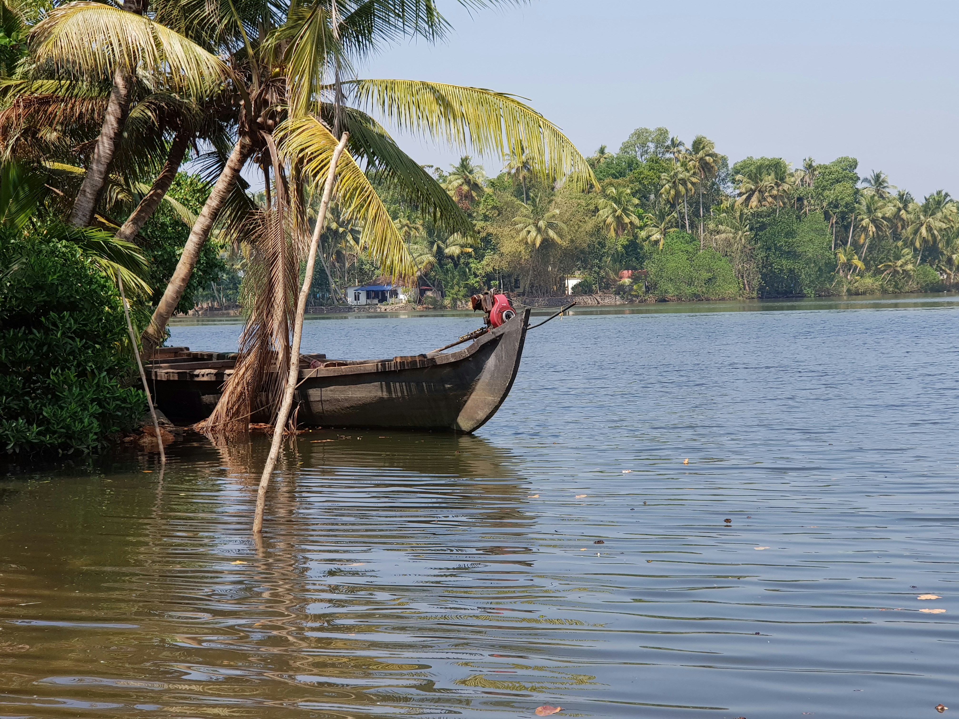 Photo by pratapmakuni