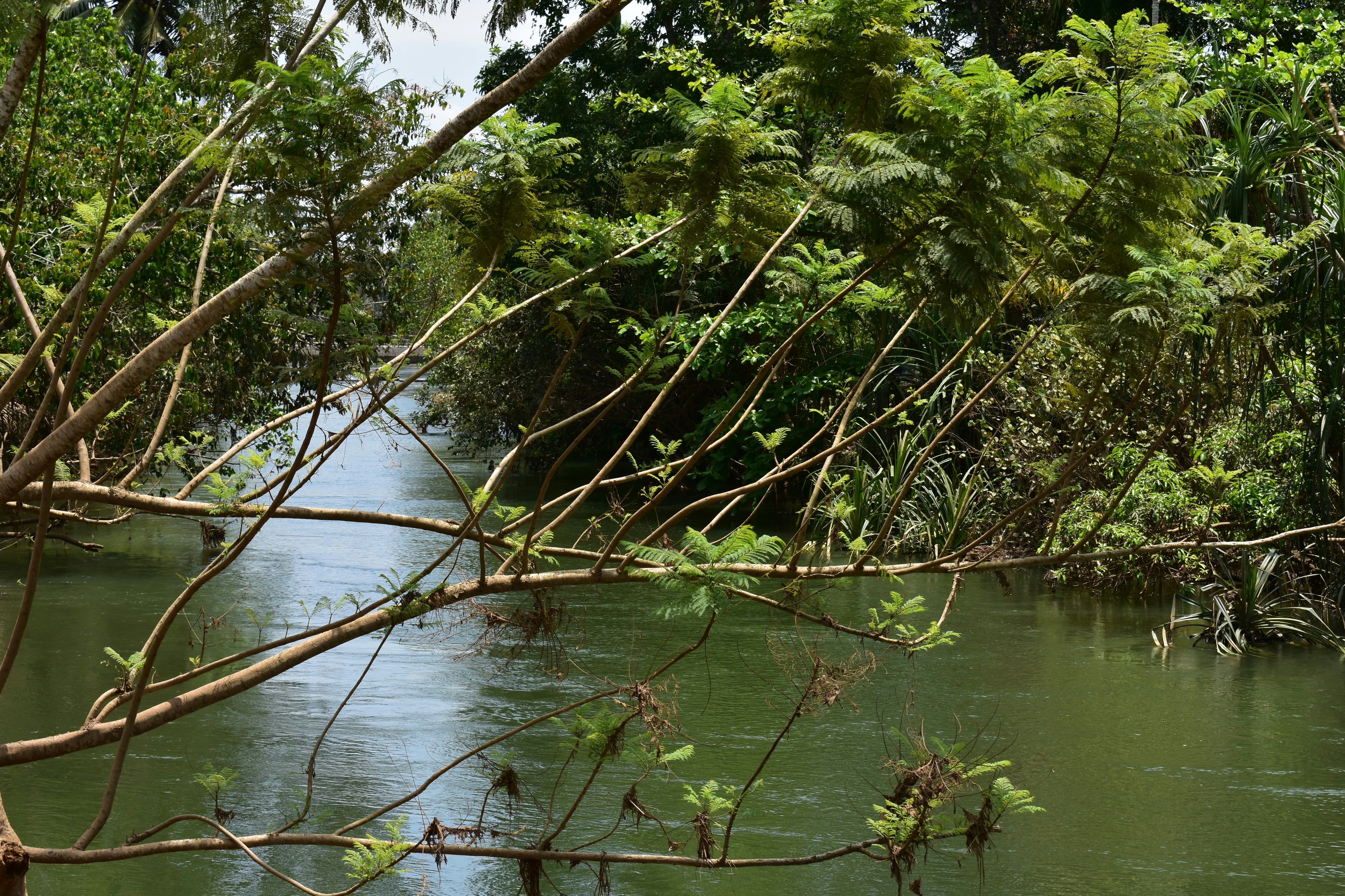 Photo by pratapmakuni