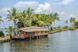 brown wooden boat on body of water near green palm trees during daytime