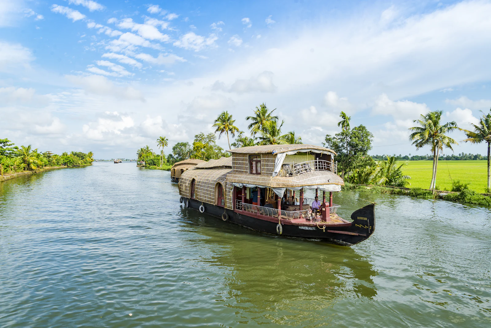 A traditional houseboat on a palm-lined backwater beside green paddy fields