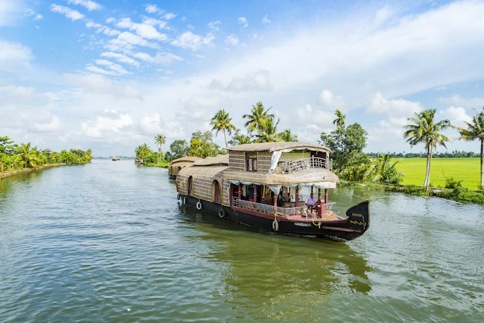 A traditional houseboat on a palm-lined backwater beside green paddy fields