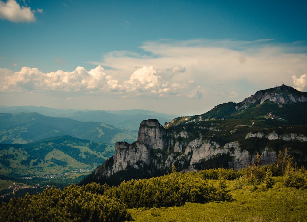 green trees on mountain under blue sky during daytime