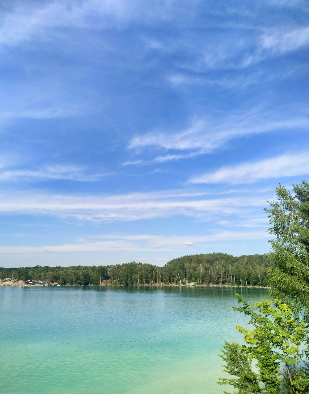 green trees beside body of water under blue sky during daytime