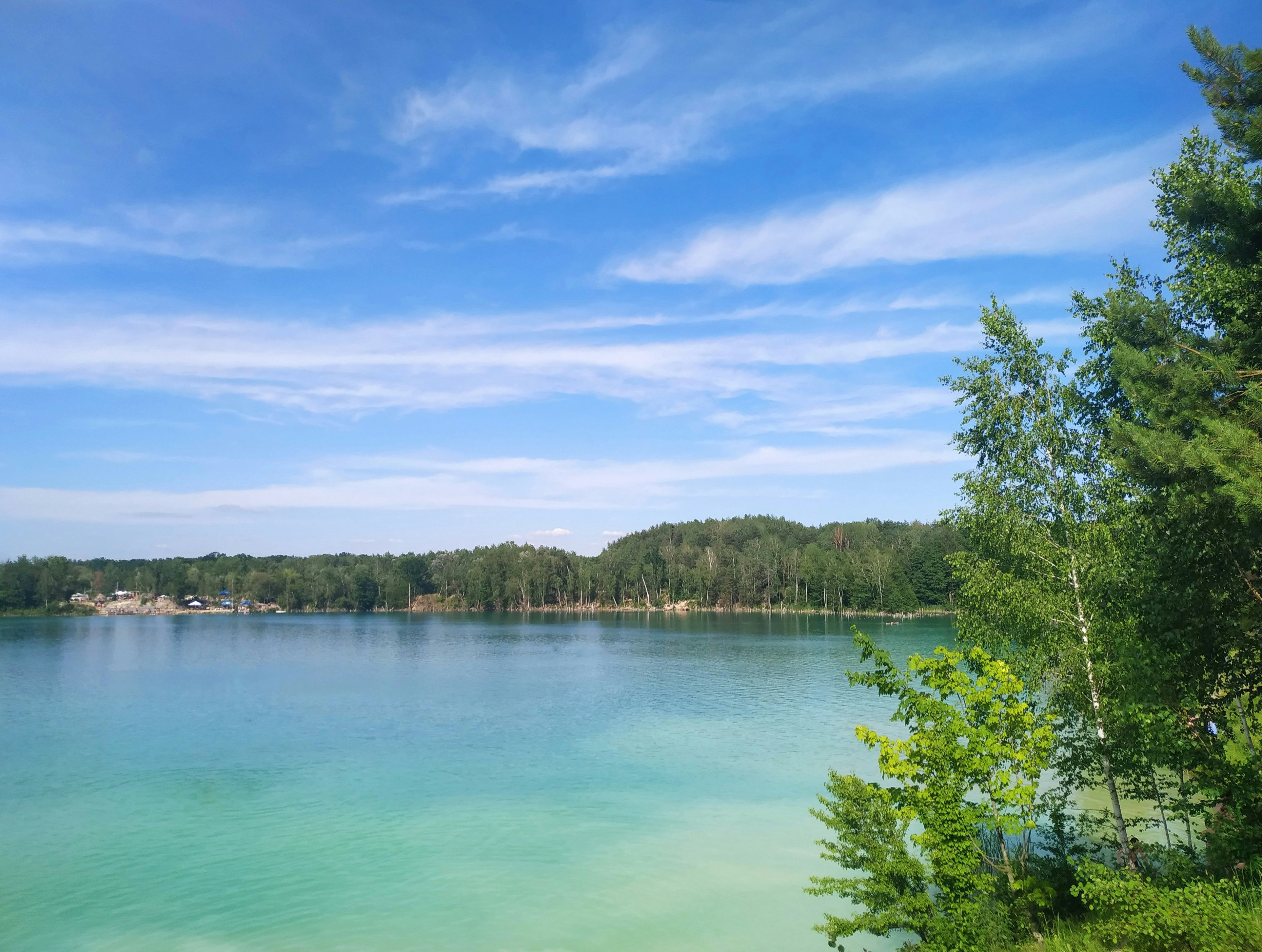 green trees beside body of water under blue sky during daytime