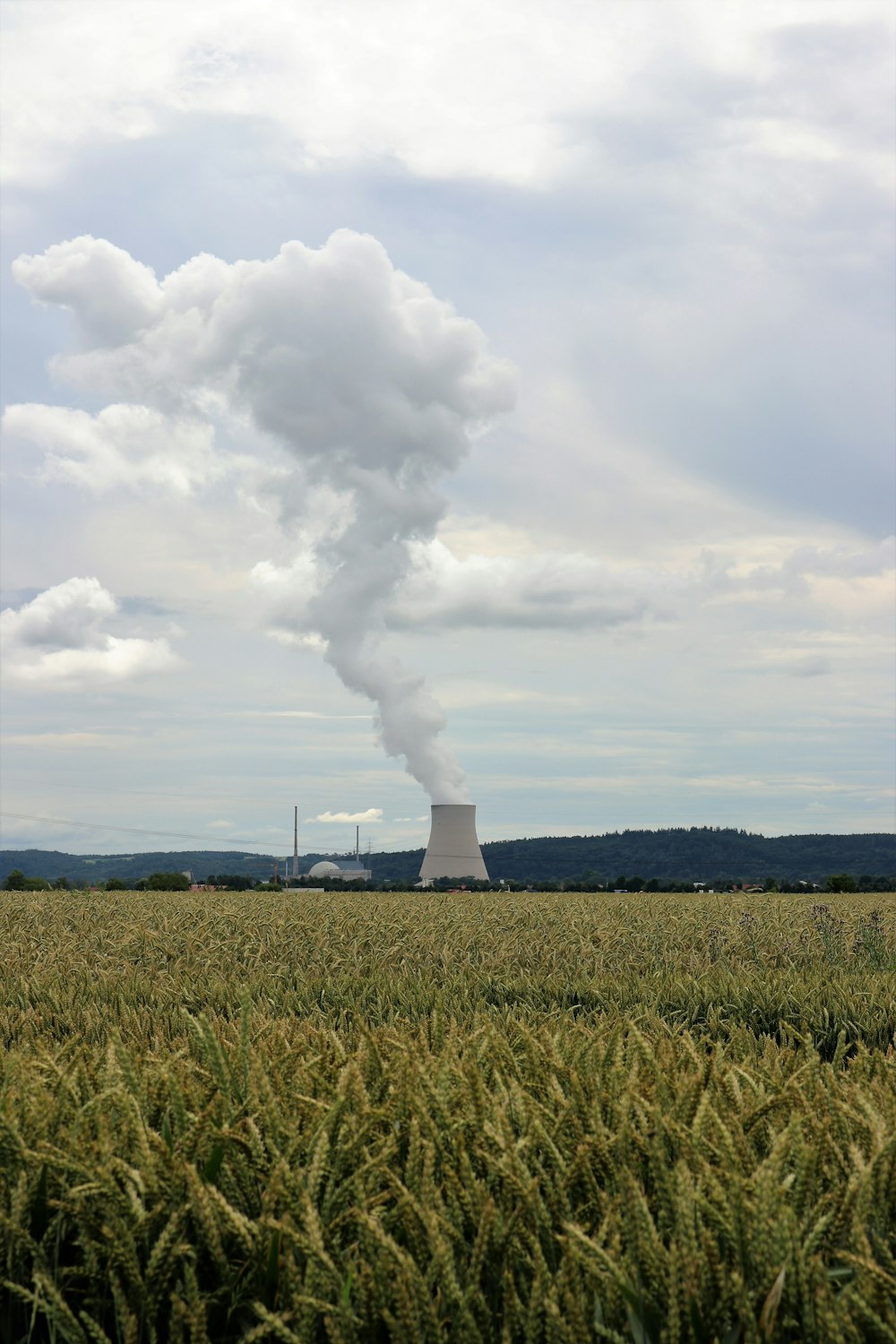 Weiße Wolken über grünem Grasfeld