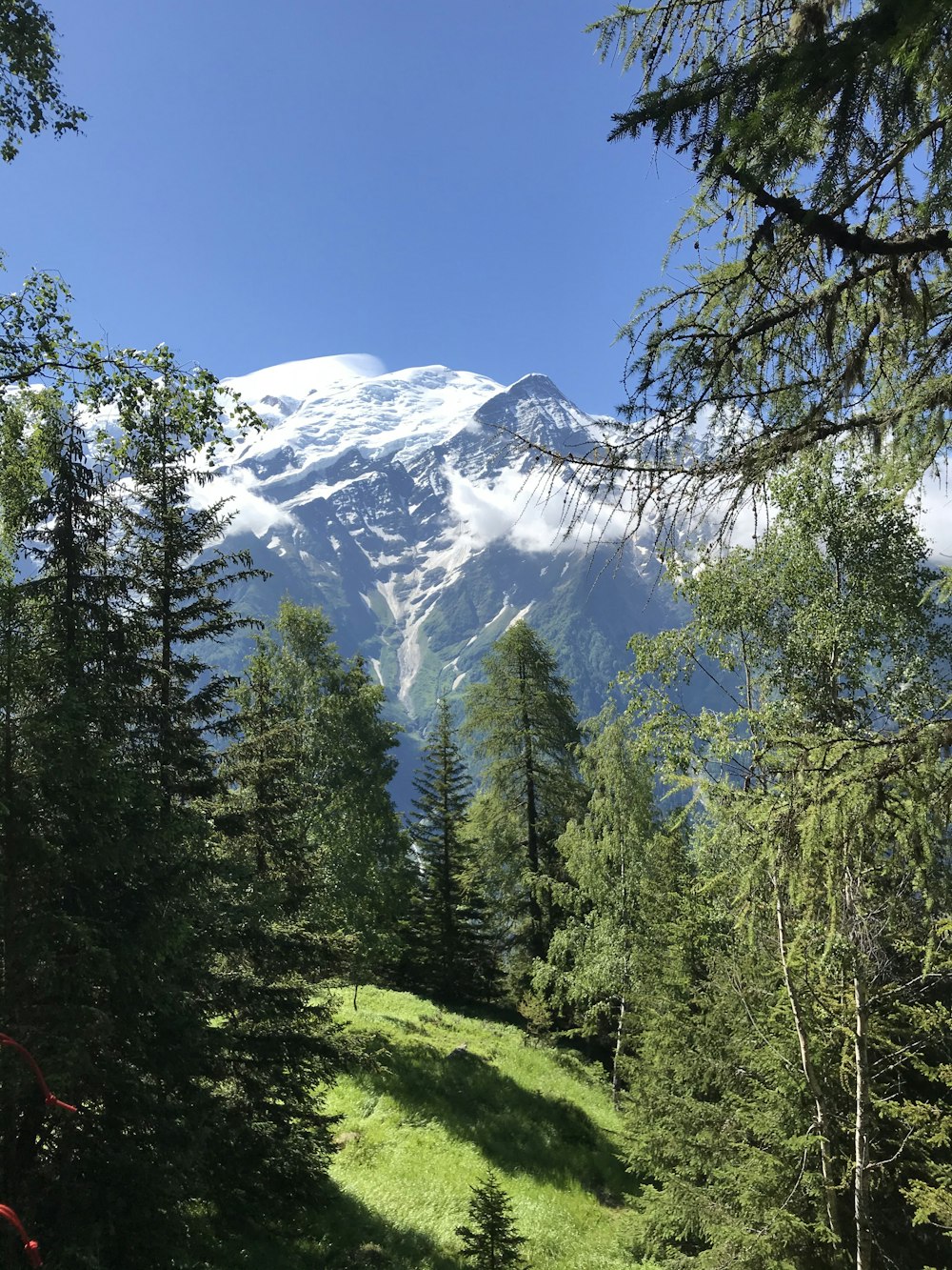 green trees near snow covered mountain under blue sky during daytime