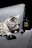 A grey tabby cat is resting on a plush grey couch. In front of the cat are three Chanel products: a perfume bottle, a lipstick, and a compact case. The setting appears to be stylish and luxurious.