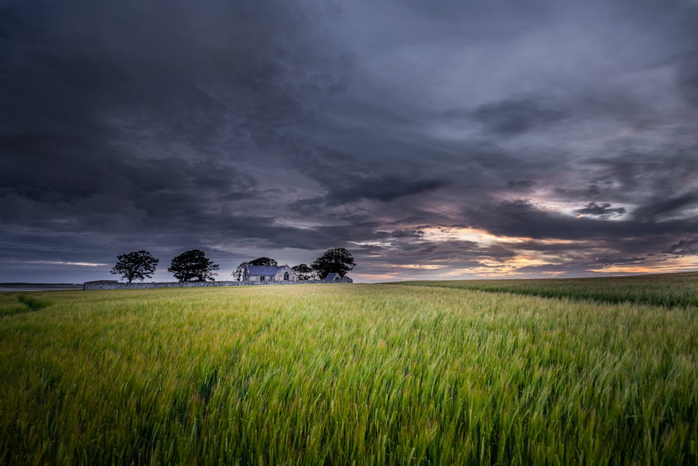 white and black house on green grass field under gray clouds