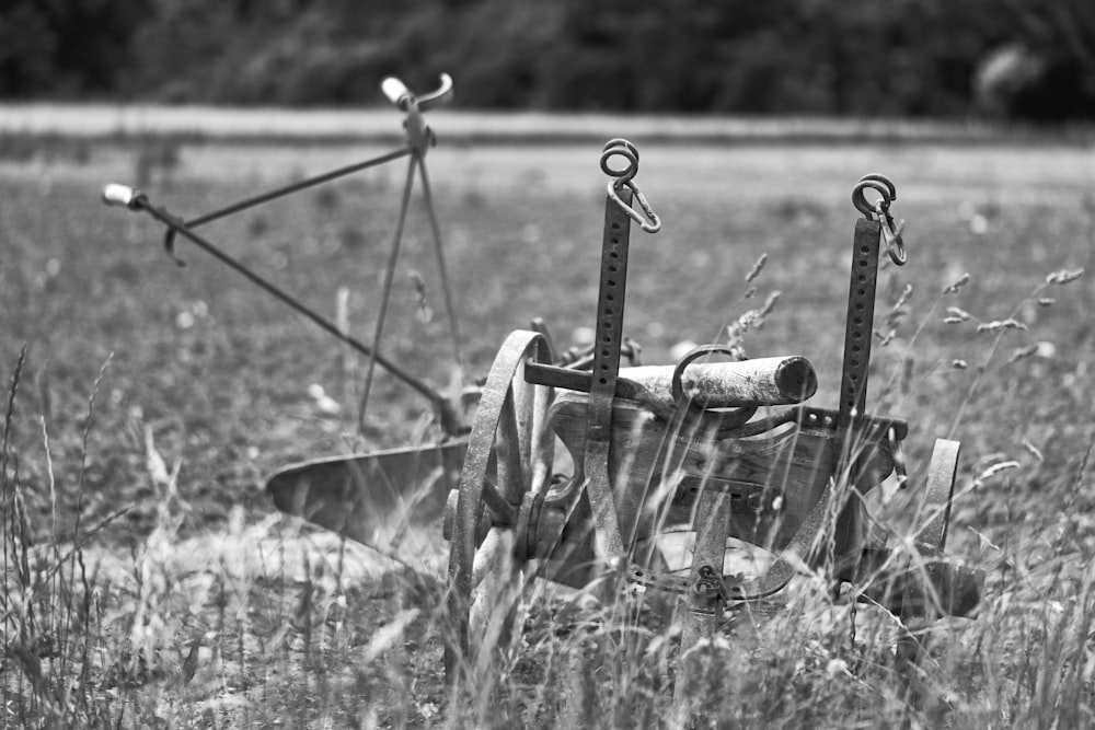 Foto en escala de grises de una carretilla en un campo de hierba