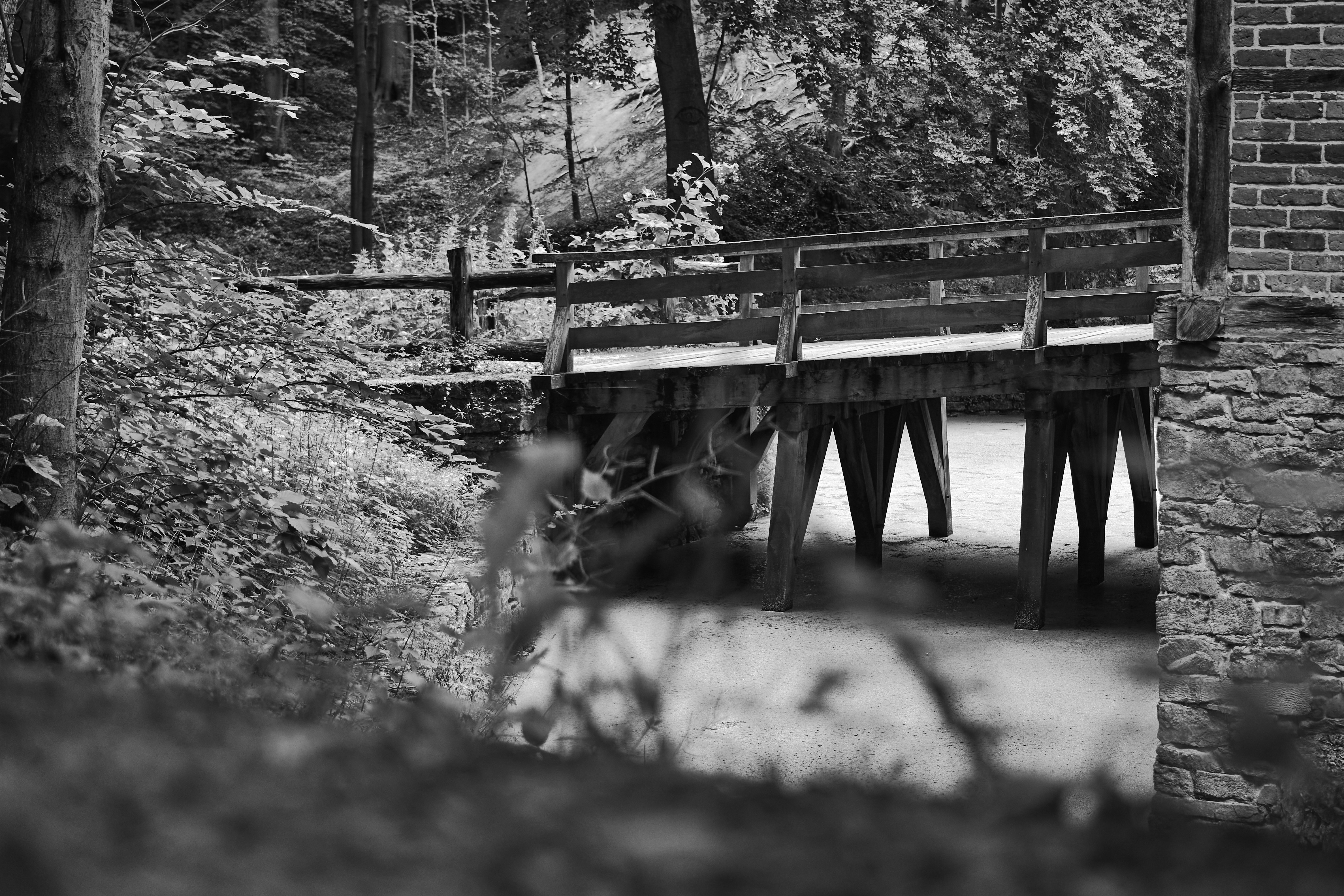 Photo by ingodoerrie