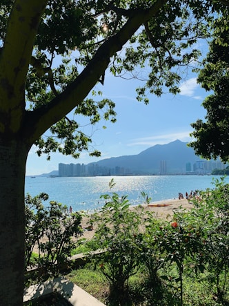 A serene view of Suva Bay with office workers in the foreground.