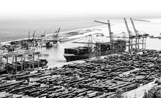 grayscale photo of cargo ship on sea