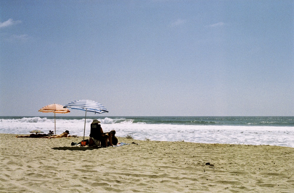 people on beach during daytime