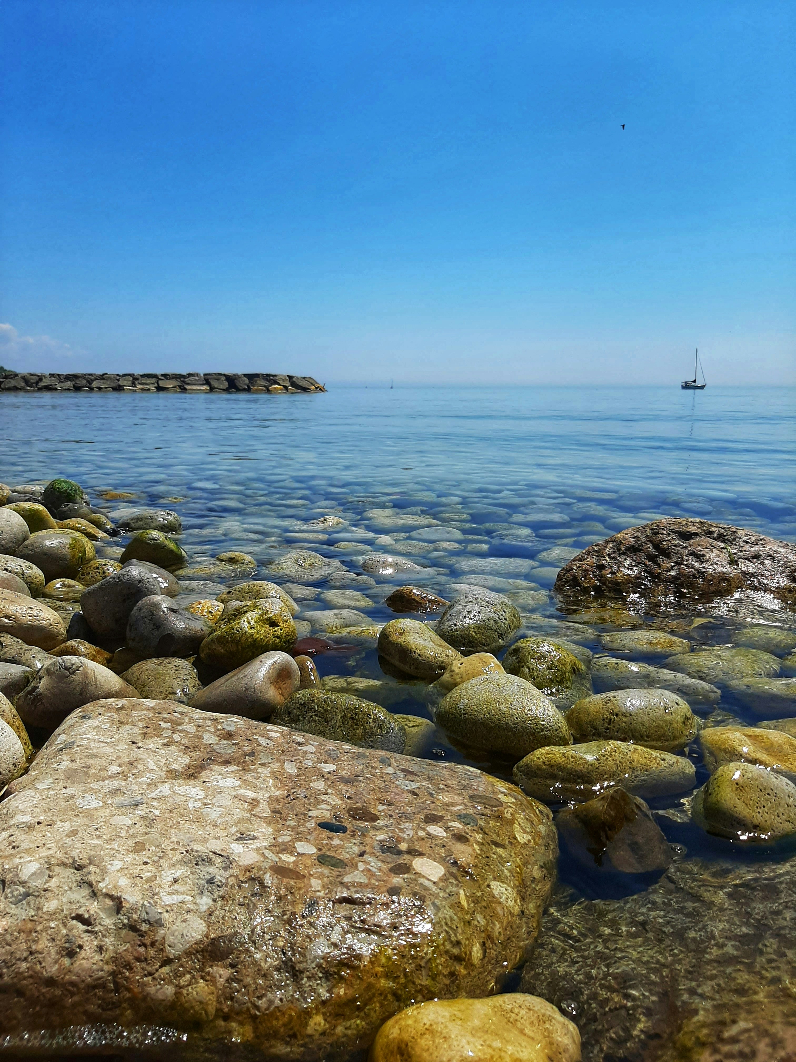 Photo by meri_vasilevski