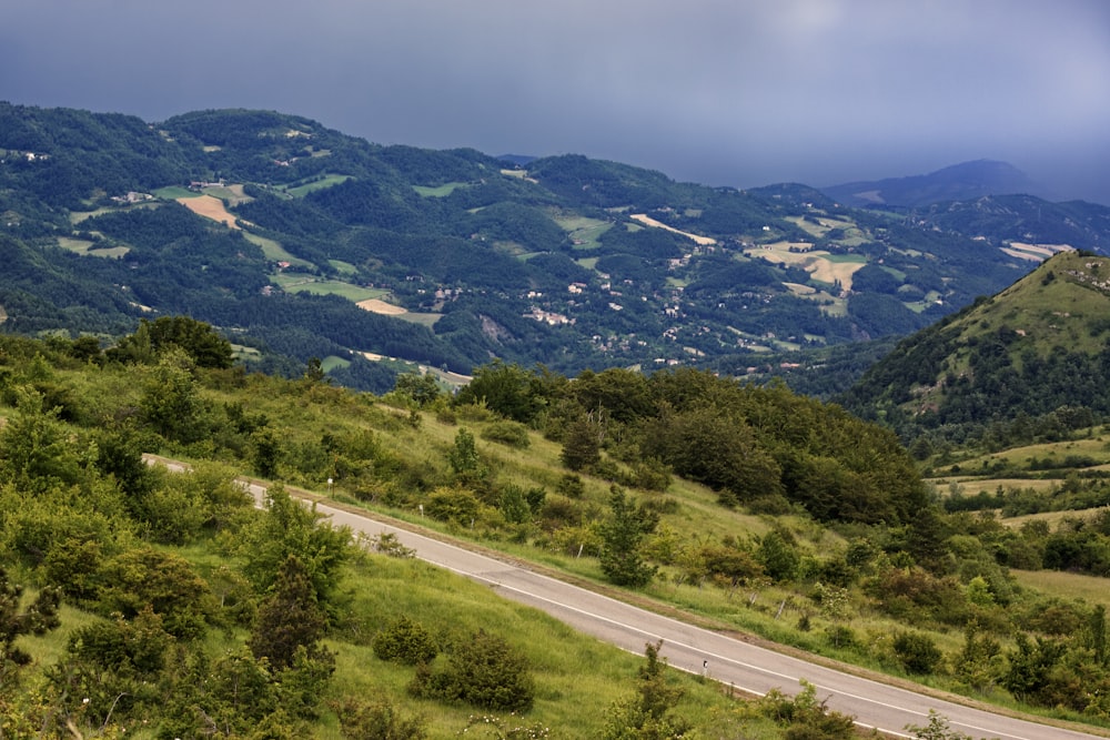 árboles verdes en la montaña bajo el cielo blanco durante el día