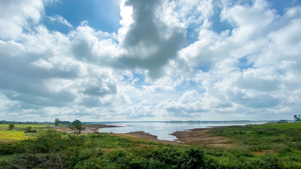 green grass field near body of water under white clouds and blue sky during daytime