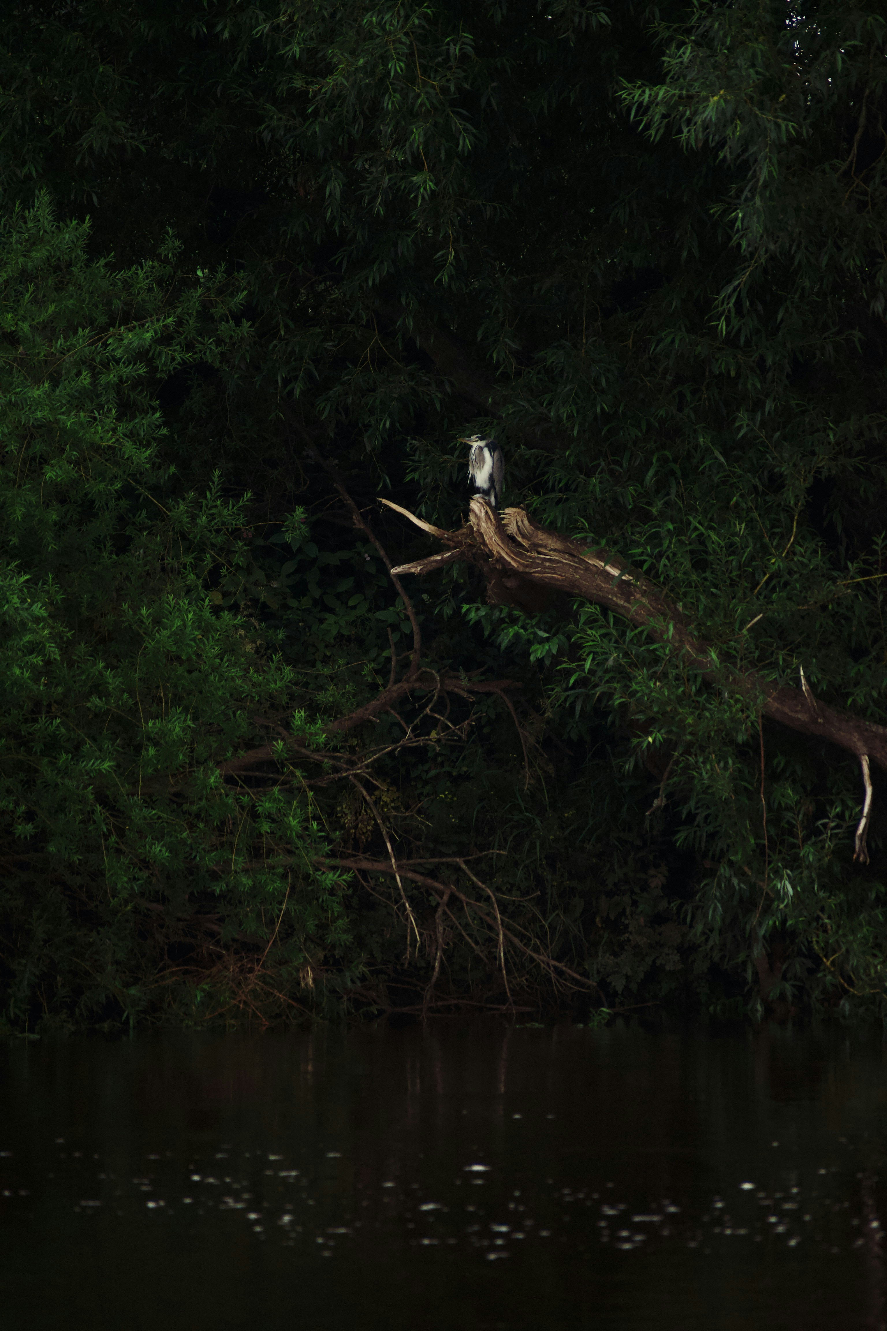 Photo by jordanweekes