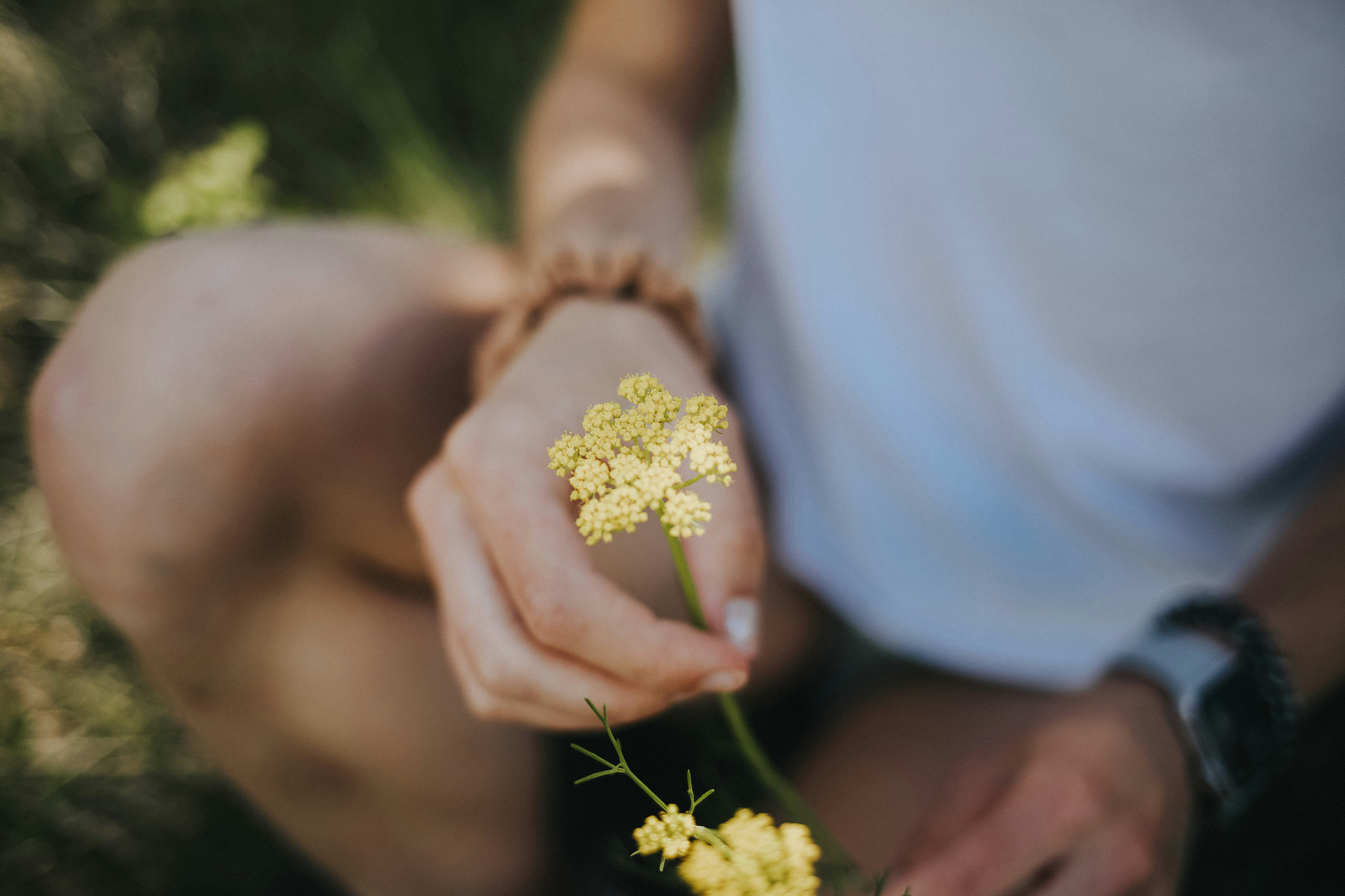 person holding yellow flower during daytime